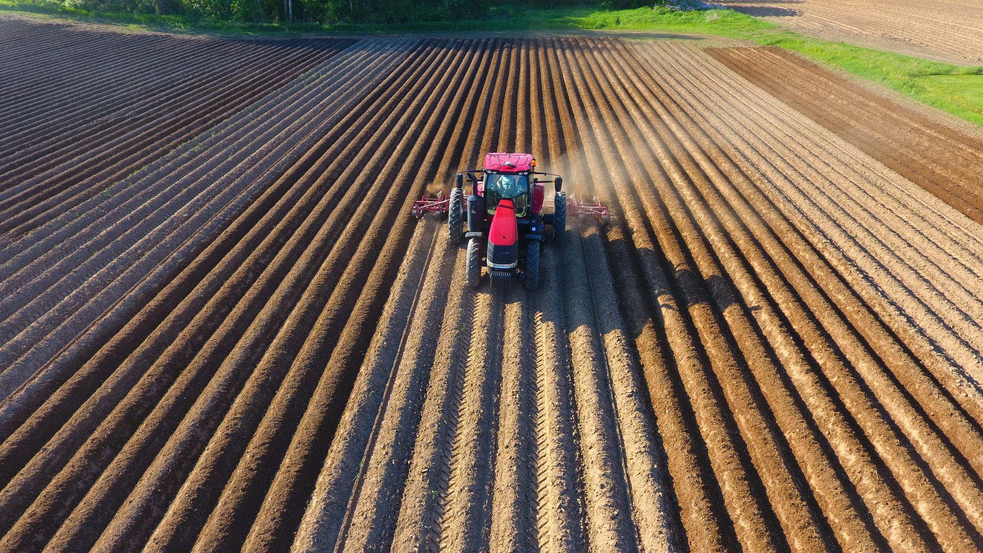Hilling Potatoes with PTX Trimble